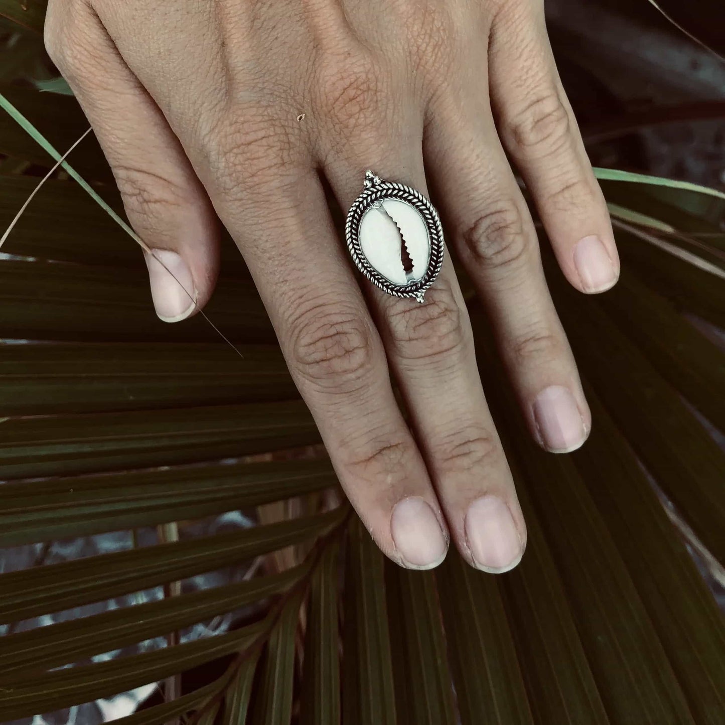 Big cowrie shell ring with silver pearls