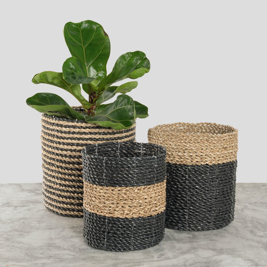 Plant Basket - Set of 3 - Black / Natural