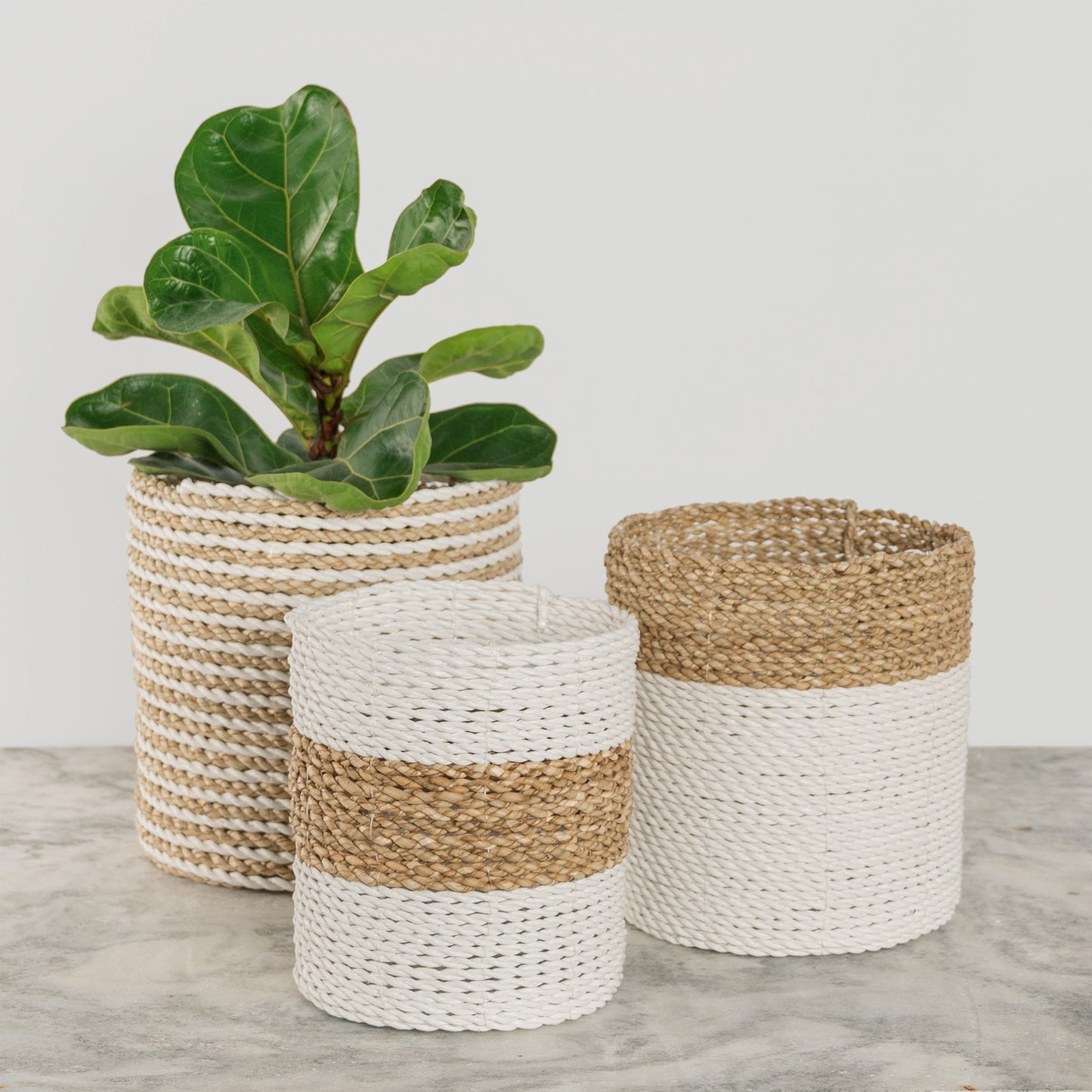 Plant Basket - Set of 3 - White / Natural