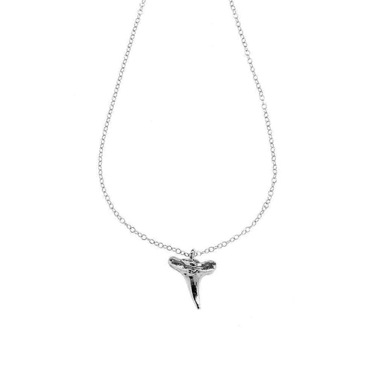 Shark's Tooth Necklace in Sterling Silver