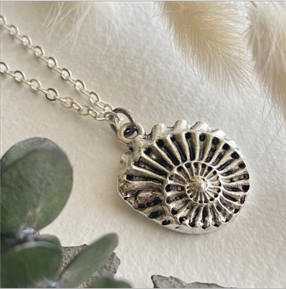 Nautilus Round Nautilus Shell Necklace in Silver